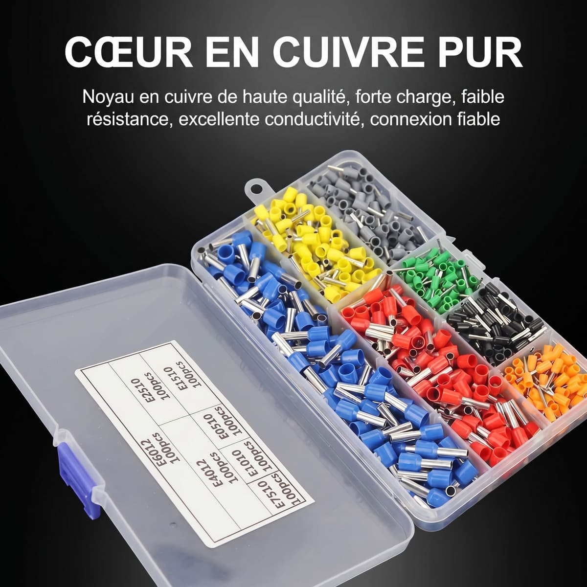Kit Professionnel de Sertissage avec 450 Embouts de Câblage et Pince 4